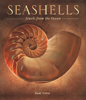 SEASHELLS, JEWELS FROM THE OCEAN