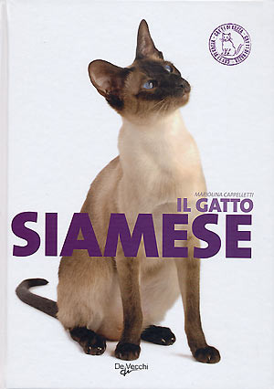 GATTO SIAMESE