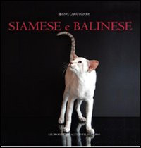 SIAMESE E BALINESE