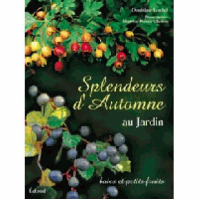 SPLENDEURS D AUTOMNE AU JARDIN.