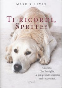 TI RICORDI, SPRITE?