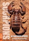 SCORPIONS OF SOUTHERN AFRICA