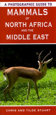 MAMMALS OF NORTH AFRICA AND THE MIDDLE EAST