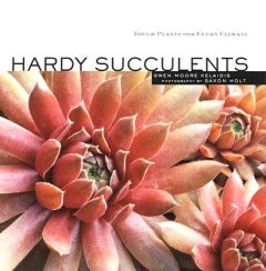 HARDY SUCCULENTS
