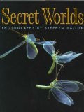 SECRET WORLDS