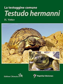 TESTUDO HERMANNI