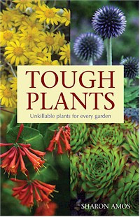 TOUGH PLANTS