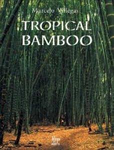 TROPICAL BAMBOO