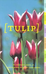 TULIP.