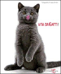 VITA DA GATTI