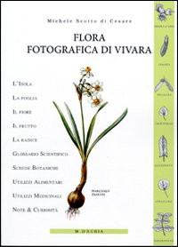 FLORA FOTOGRAFICA DI VIVARA