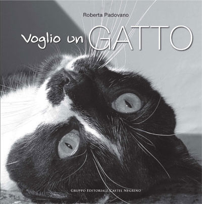 VOGLIO UN GATTO
