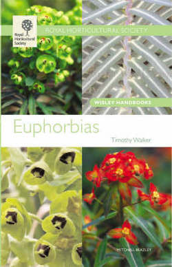 EUPHORBIAS