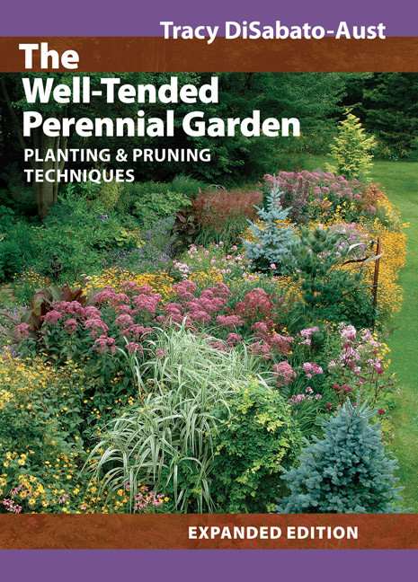 WELL-TENDED PERENNIAL GARDEN