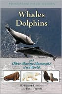 WHALES, DOLPHINS AND OTHER MARINE