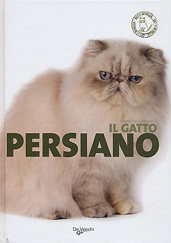 GATTO PERSIANO